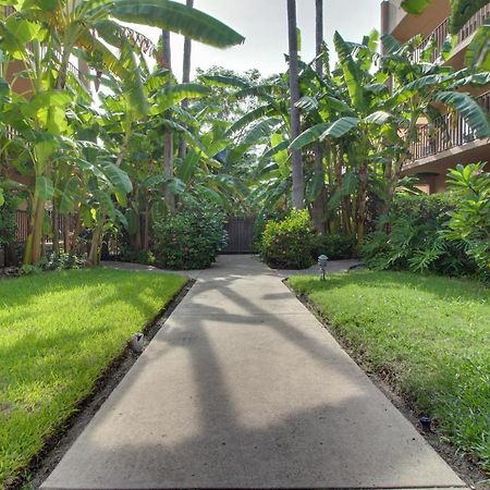 Beachview Condominiums: Palm Tree Pathway South Padre Island Exteriör bild