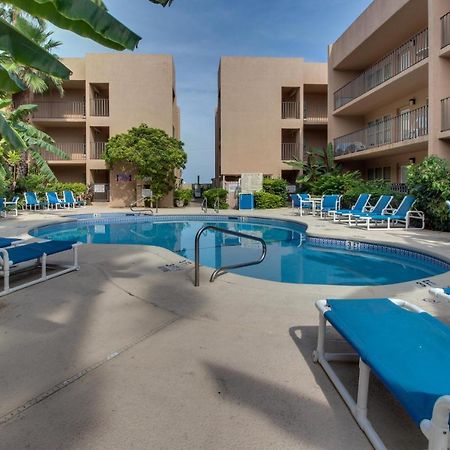 Beachview Condominiums: Palm Tree Pathway South Padre Island Exteriör bild