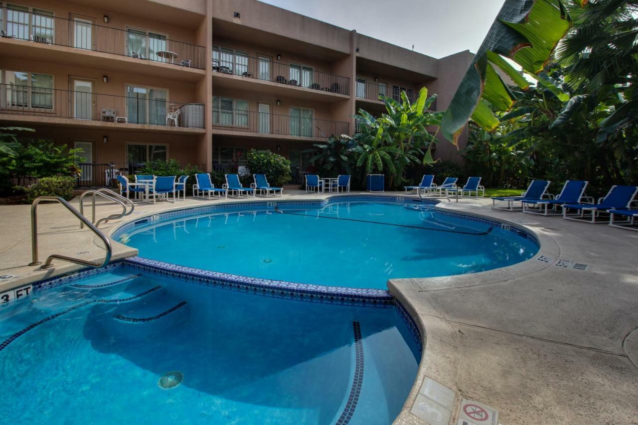 Beachview Condominiums: Palm Tree Pathway South Padre Island Exteriör bild
