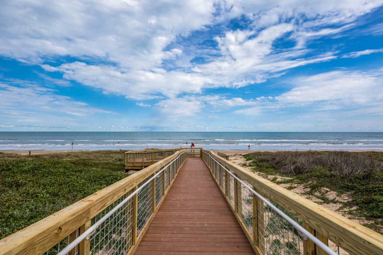 Beachview Condominiums: Palm Tree Pathway South Padre Island Exteriör bild
