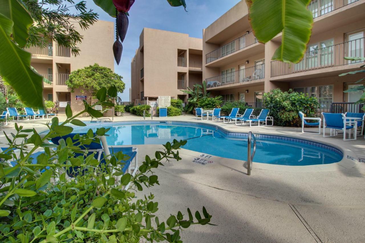 Beachview Condominiums: Palm Tree Pathway South Padre Island Exteriör bild